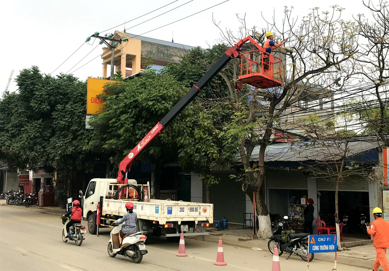  Cắt tỉa cây xanh không đảm bảo an toàn HLLĐ tại địa bàn phường Tích Lương (T.P Thái Nguyên)