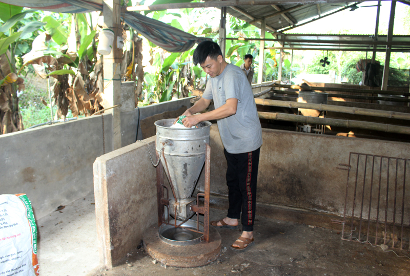  Sau khi xảy ra dịch tả lợn châu Phi, gần 6 tháng nay, khu chuồng trại chăn nuôi của gia đình ông Đặng Văn Kỳ, thôn Túc Duyên, xã Quy Kỳ (Định Hóa) vẫn bỏ không. 