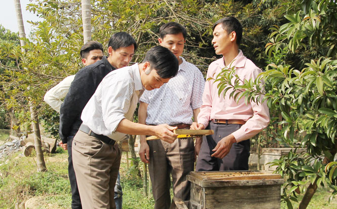  Quan tâm, tạo điều kiện giúp thanh niên khởi nghiệp, lập nghiệp là một trong những giải pháp thiết thực để lôi cuốn đoàn viên. Trong ảnh: ĐVTN xã Động Đạt (Phú Lương) tham quan mô hình nuôi ong lấy mật của gia đình anh Bùi Tiến Thành, xóm Khe Nác, xã Động Đạt.   