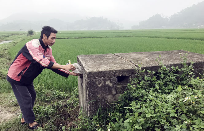  Người dân xã Cù Vân (Đại Từ) thu gom bao bì thuốc bảo vệ thực vật vào bể chứa.