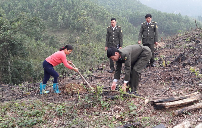  Cán bộ Hạt Kiểm lâm huyện Đồng Hỷ hướng dẫn người dân xã Văn Lăng trồng cây giổi xanh.