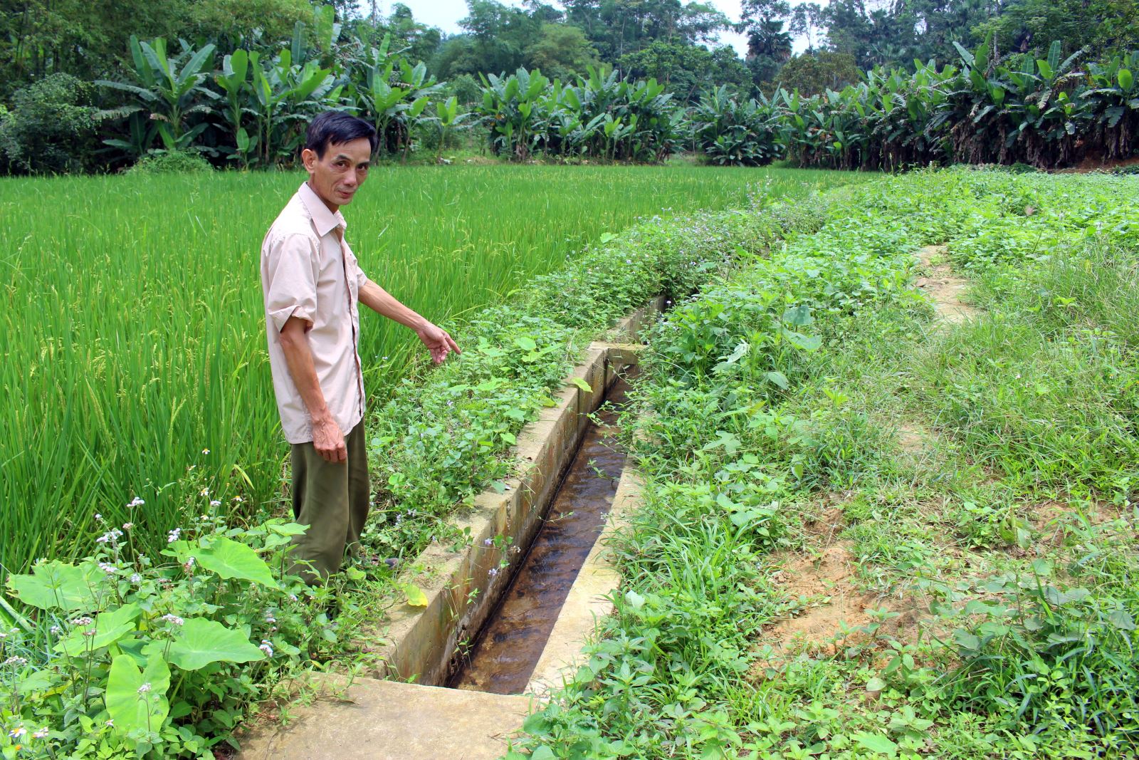  Cuối năm 2018, từ nguồn vốn đầu tư Chương trình 135, tuyến kênh mương dài 500 mét của người dân thôn Bảo Biên 1, xã Bảo Linh (Định Hóa) đã được kiên cố hóa để đáp ứng nhu cầu nước tiêu tiêu phục vụ sản xuất nông nghiệp của bà con.