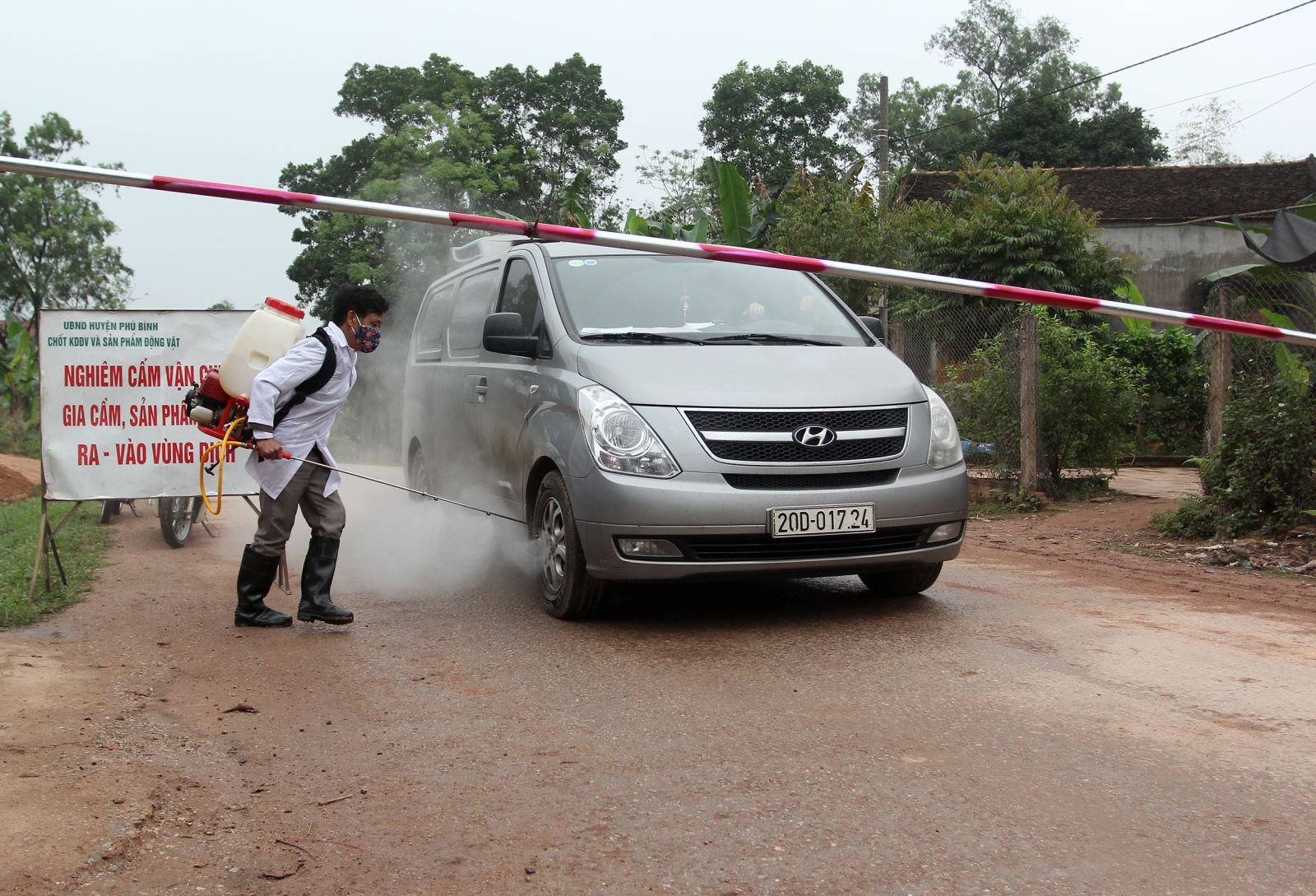  Tăng cường kiểm soát việc lưu thông gia súc, gia cầm tại các chốt kiểm dịch.