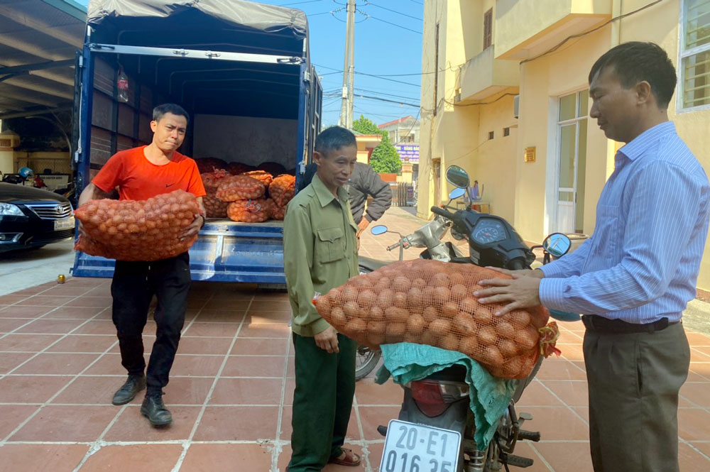  Người dân tham gia mô hình nhận khoai tây giống tại Trung tâm Dịch vụ nông nghiệp T.P Thái Nguyên.