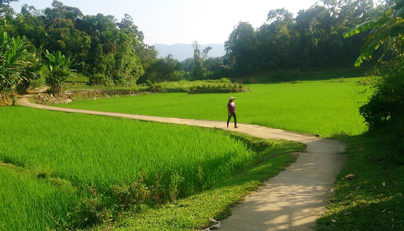  Cảnh làng quê thanh bình với tuyến đường bê tông uốn lượn giữa những cánh đồng lúa ở xã Định Biên (Định Hóa). Ảnh: Minh họa