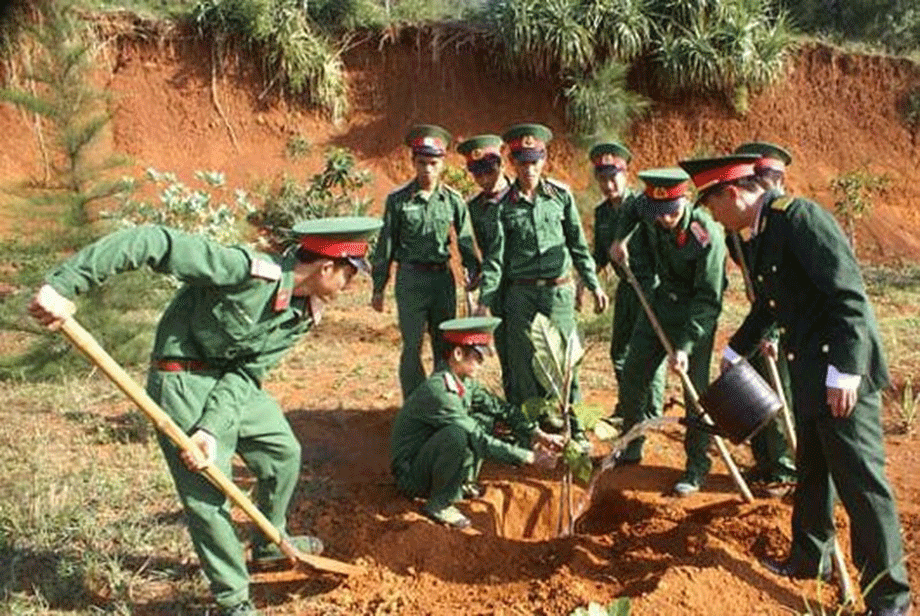  Ảnh minh họa: Cán bộ, chiến sĩ Ban Chỉ huy Quân sự huyện Lý Sơn trồng cây bàng vuông trên đảo. (Nguồn: Báo Quảng Ngãi)