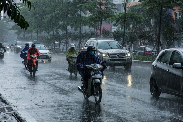  Bắc Bộ có mưa vừa, mưa to, có nơi mưa rất to. (Ảnh: Minh Sơn/Vietnam+) 