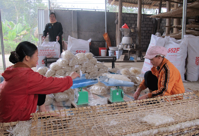  Mô hình sản xuất mỳ gạo Bao thai tạo việc làm và thu nhập ổn định tại xã Kim Phượng (Định Hóa).