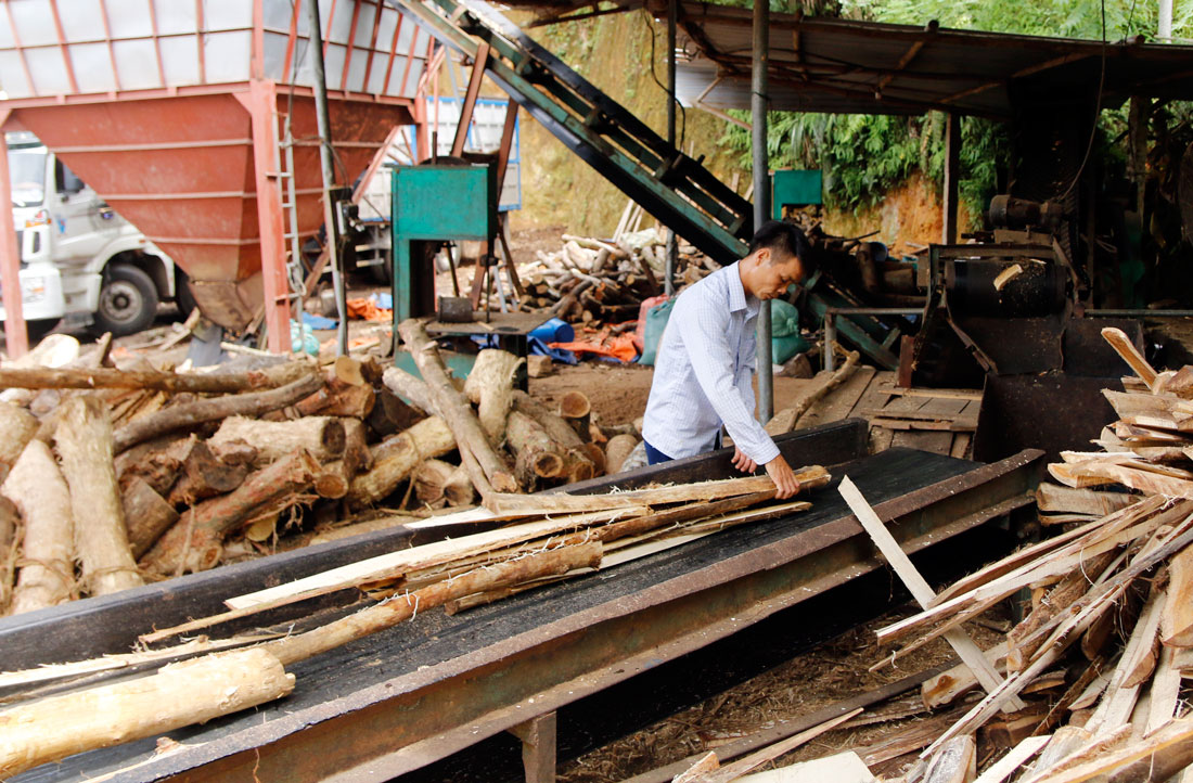  Nguồn vốn từ chương trình cho vay sản xuất, kinh doanh vùng khó khăn đã giúp gia đình anh Lê Đình Nghiêm, xóm Trú 2, xã Bộc Nhiêu (Định Hóa) phát triển cơ sở chế biến lâm sản.