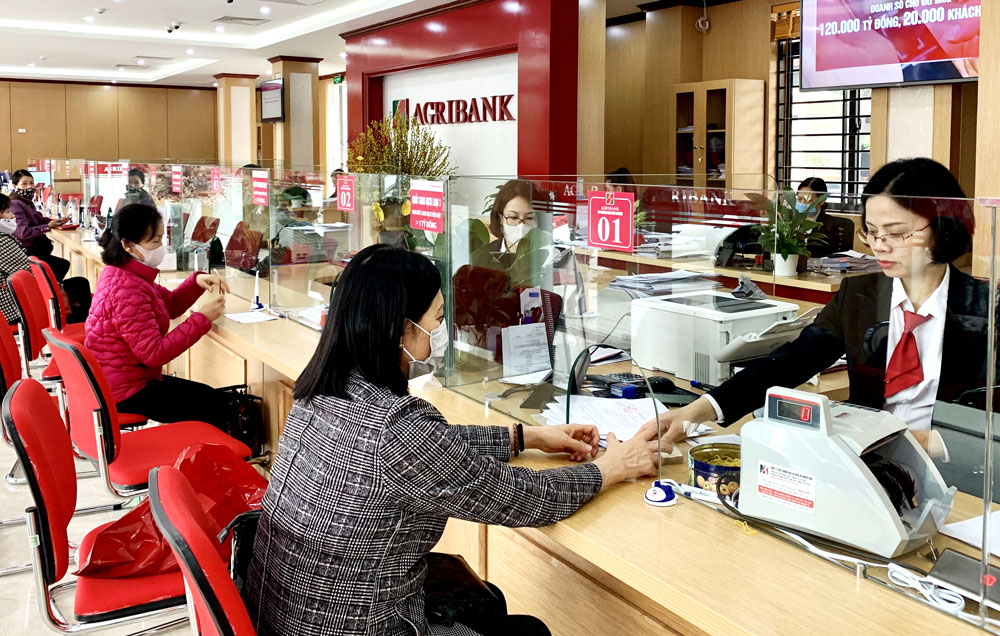  Từ ngày 15-7 đến cuối năm 2021, Ngân hàng Nông nghiệp và PTNT (Agribank) Chi nhánh Thái Nguyên đã giảm lãi suất cho vay đối với các khoản dư nợ hiện hữu từ 0,5-1,5%/năm nhằm hỗ trợ các khách hàng vượt qua dịch COVID-19.