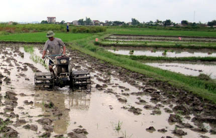  Người dân xã Thanh Ninh (Phú Bình) làm đất để gieo trồng vụ xuân 2011