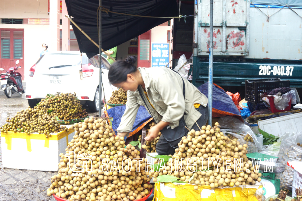  Nhãn của bà con trong tỉnh được bày bán tại cổng chợ Túc Duyên (TP. Thái Nguyên) với giá từ 15 đến 25 nghìn đồng/kg tùy loại.