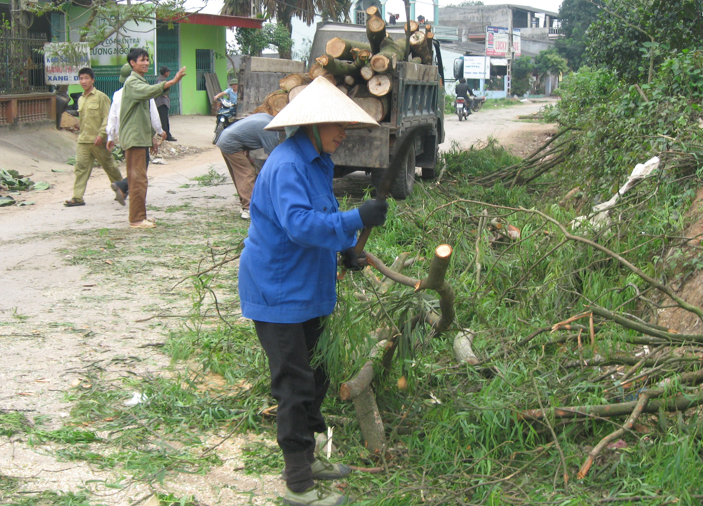  Gia đình anh Nguyễn Văn Xuất, xóm Hồng Thái II đã chặt 30 cây bạch đàn, mít, cau và 6 cây gỗ sưa thực hiện giải phóng mặt bằng.