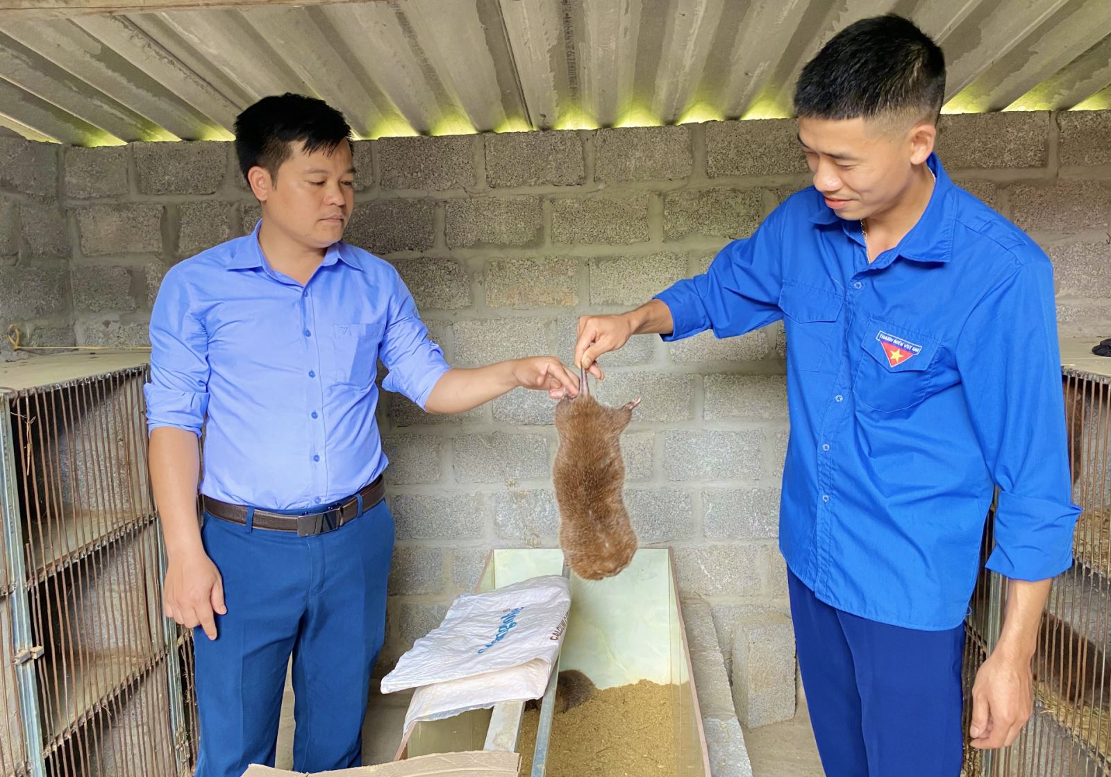  Anh Chu Duy Tú (bên phải), Bí thư Chi đoàn xóm Thành Tiến, xã Tràng Xá (Võ Nhai) chia sẻ kinh nghiệm nuôi dúi.