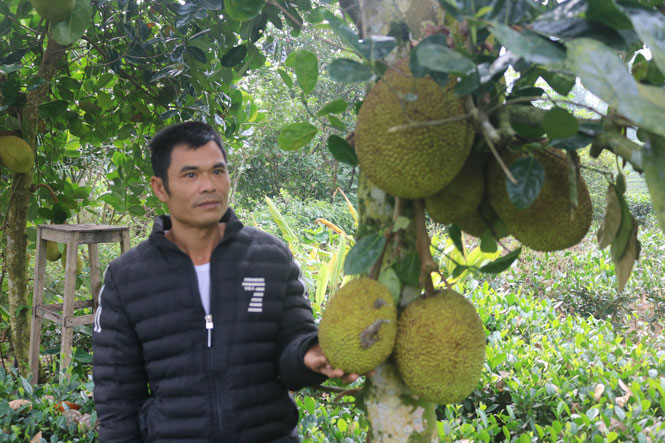  Sau cai nghiện ma túy, anh Nguyễn Văn Chiến đã có một cuộc sống ổn định.