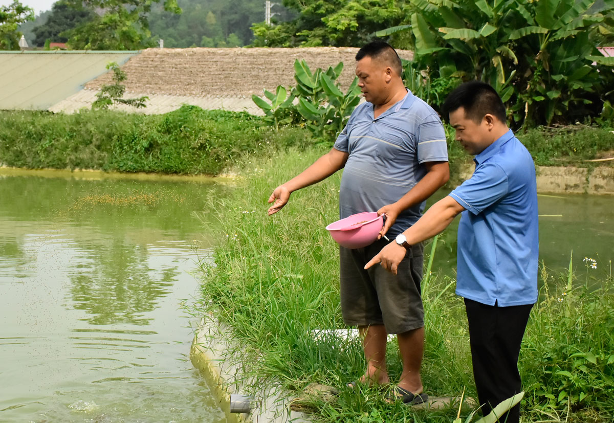  Cựu chiến binh Ma Đức Toản (bên trái) mạnh dạn đi đầu triển khai mô hình nuôi cá thịt ở xã Phúc Chu, cho thu nhập gần 150 triệu/năm.