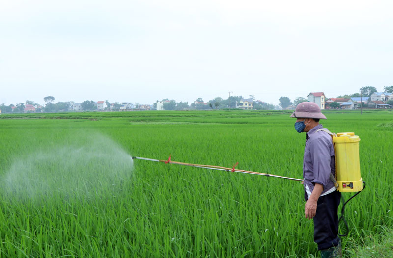  Người dân xã Đông Cao phun thuốc bảo vệ thực vật phòng, trừ sâu bệnh gây hại trên lúa xuân.