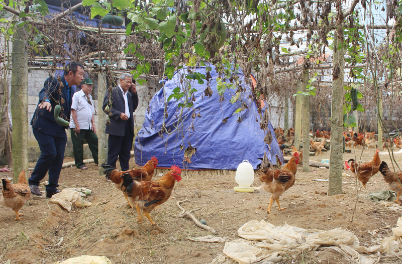  Mô hình chăn nuôi gà an toàn sinh học được triển khai thành công tại xã Nam Hòa đã góp phần nâng cao thu nhập cho người dân trong xã.