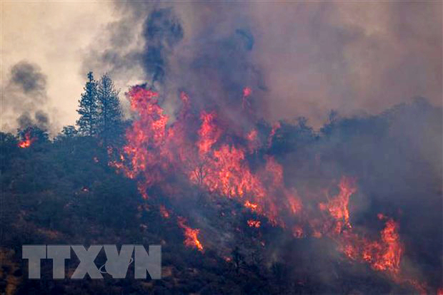  Khói lửa bốc lên từ một đám cháy rừng ở bang California, Mỹ. (Ảnh: AFP/TTXVN)