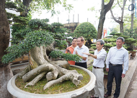  Hội Sinh vật cảnh của tỉnh tổ chức trưng bày, giới thiệu sản phẩm tại Festival Trà Thái Nguyên - Việt Nam lần thứ 3, năm 2015, thu hút trên 1.000 tác phẩm đến từ hơn 30 tỉnh, thành phố trong cả nước tham gia.