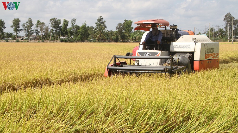  An ninh lương thực và nông lâm thủy sản phục vụ xuất khẩu là mục tiêu kép của ngành nông nghiệp trong "tình hình mới".