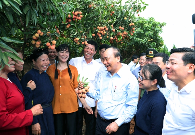  Thủ tướng Nguyễn Xuân Phúc thăm "Vườn quả Bác Hồ" (tiền thân là "Rừng cây Bác Hồ" hình thành vào năm 1970) tại xã Quý Sơn, huyện Lục Ngạn, tỉnh Bắc Giang (Ảnh: VGP)