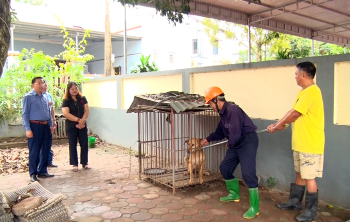  Tiêm vắc xin phòng dại trên đàn chó tại xóm Đông Sinh, xã Hồng Tiến (T.X Phổ Yên) . 