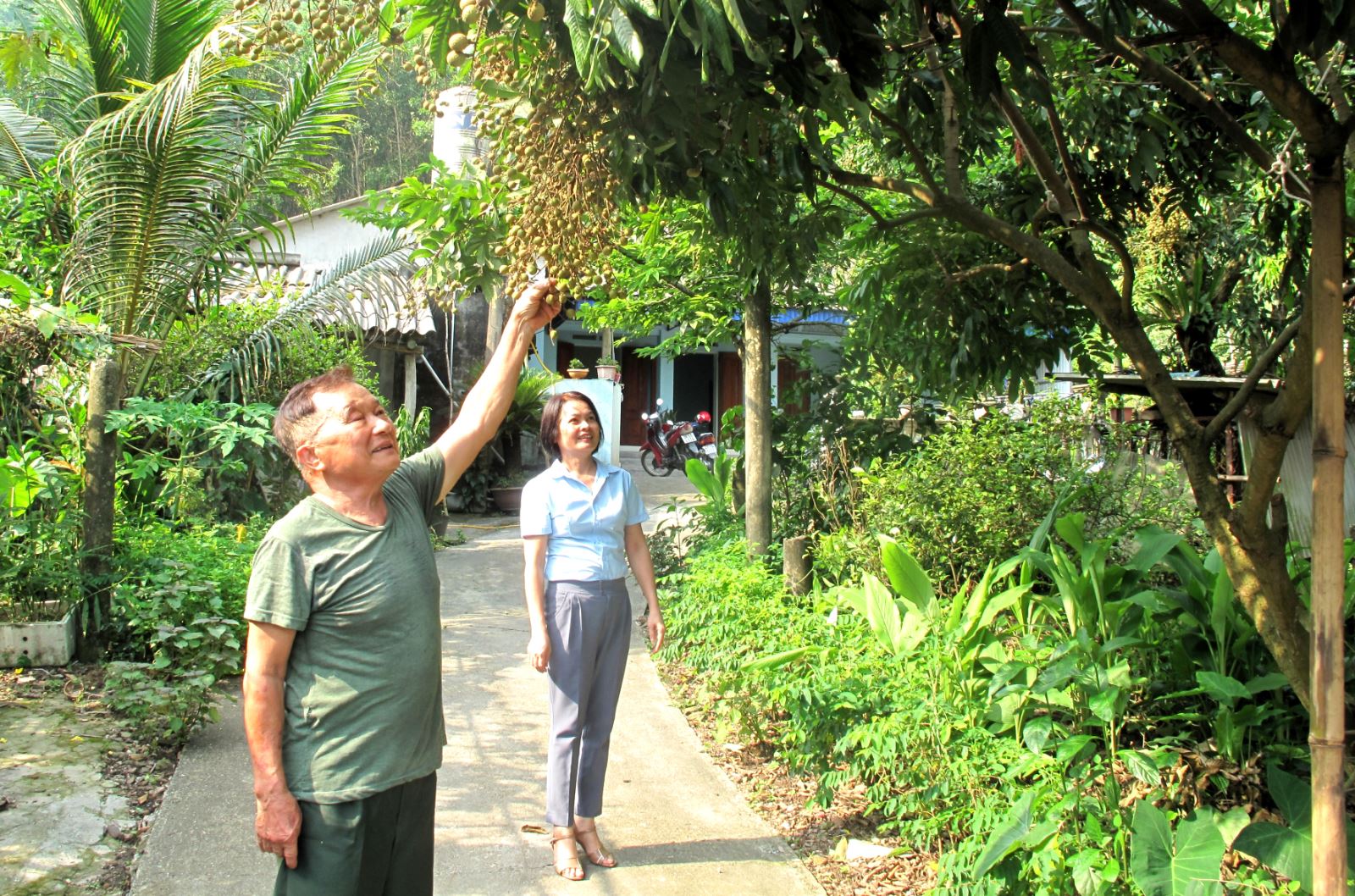 Gia đình thương binh hạng 2/4 Đỗ Văn Bộ, ở xóm 7, xã Cù Vân (Đại Từ) đầu tư phát triển chăn nuôi, trồng trọt, mỗi năm trừ chi phí còn thu được trên 100 triệu đồng.