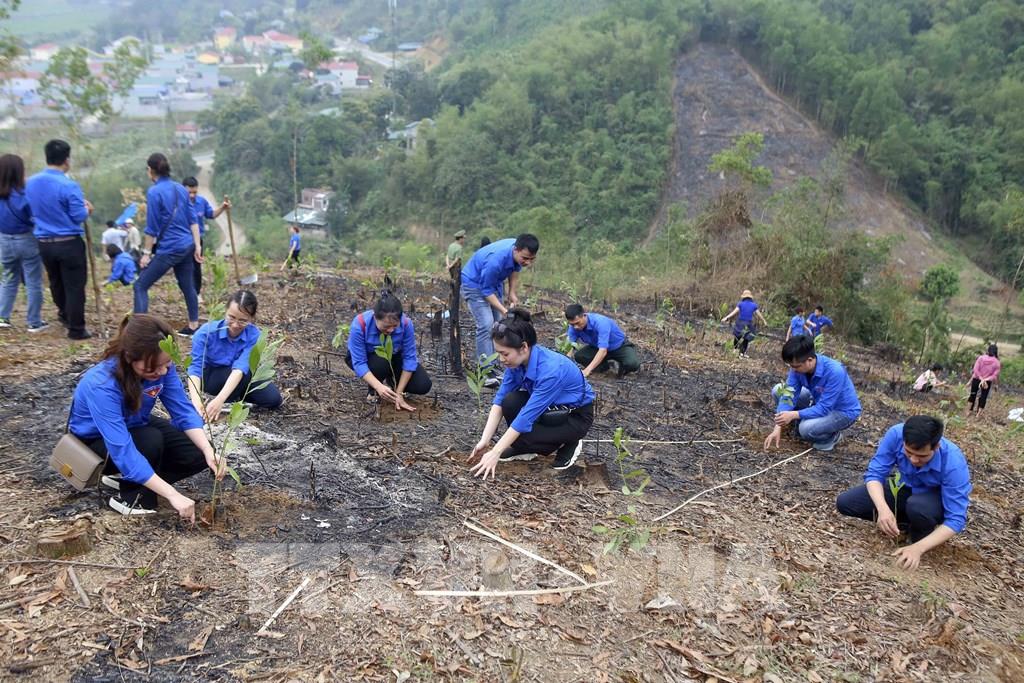  Đoàn viên, thanh niên TTXVN trồng cây hưởng ứng "Tết trồng cây" năm 2021 và chương trình trồng 1 tỷ cây xanh. Ảnh: Tuấn Đức/TTXVN