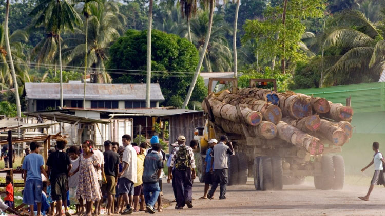  Xe tải chở gỗ xuất khẩu đi qua ngôi làng Vanimo ở Papua New Guinea. Ảnh: The Guardian