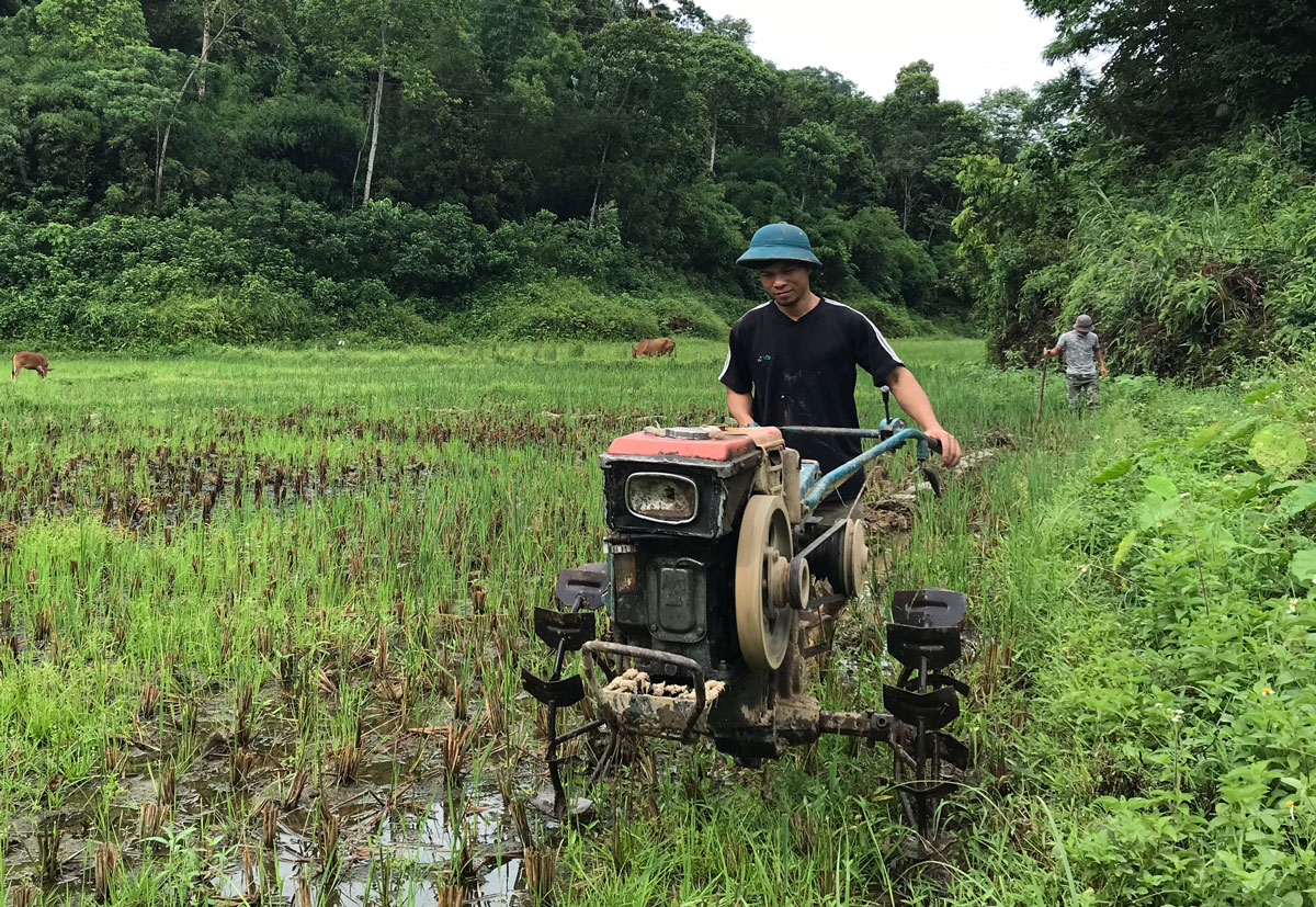  Người dân xóm Đình Phỉnh, xã Phượng Tiến làm đất chuẩn bị gieo cấy vụ mùa.