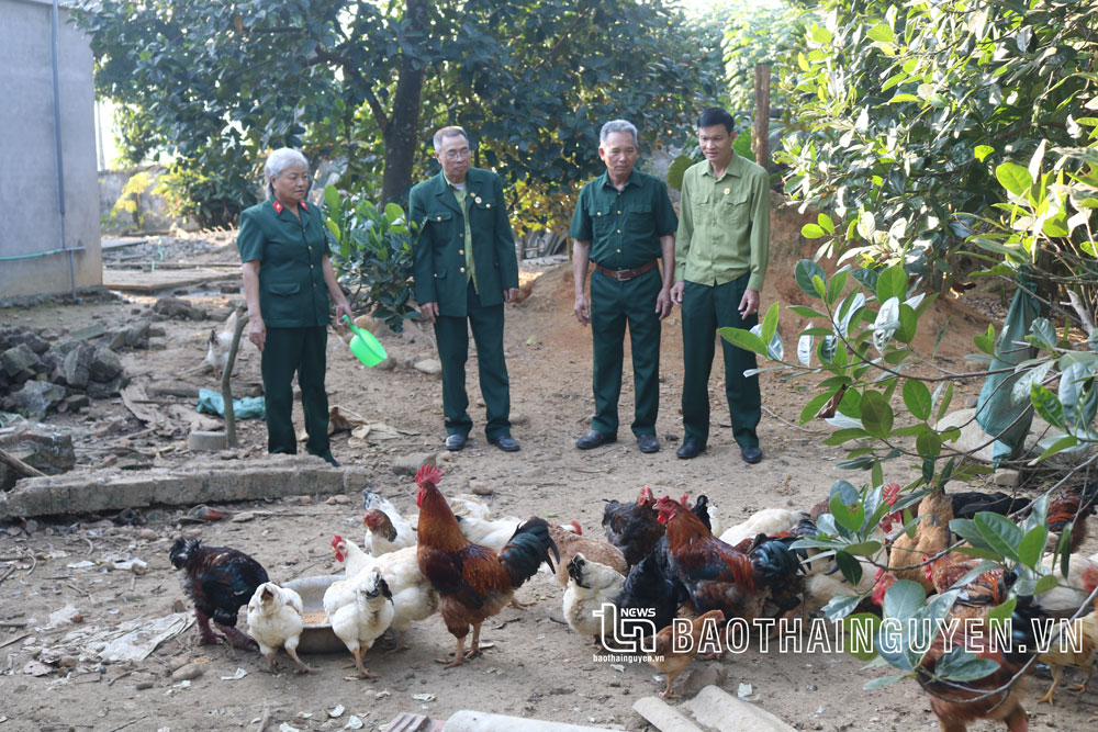  Bà Phạm Thị Bảo Hà (ngoài cùng bên trái) chia sẻ kinh nghiệm chăn nuôi với cán bộ, hội viên cựu chiến binh.