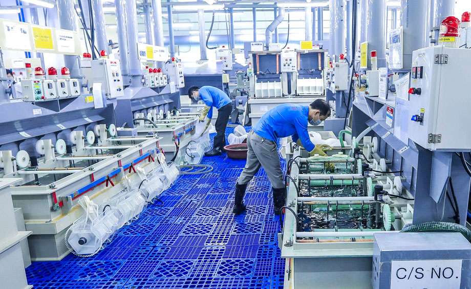  Workers are producing the electronic components at Diem Thuy Industrial Zone (Phu Binh district) 