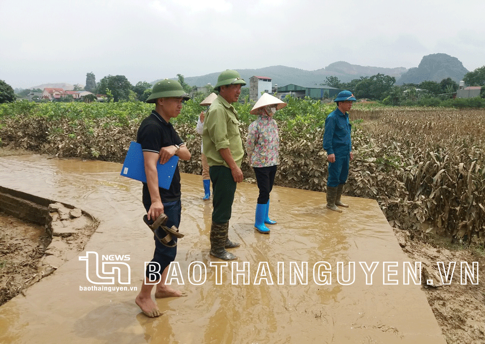  Cán bộ UBND xã Linh Sơn (TP. Thái Nguyên) hướng dẫn người dân khắc phục hậu quả mưa lũ và vệ sinh môi trường.